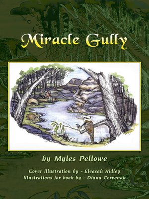 cover image of Miracle Gully